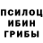Псилоцибиновые грибы GOLDEN TEACHER Yvette Garner