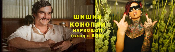 молекула духа Аркадак